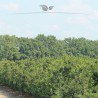 Stechpalme Ilex Blue Princess 175-200 cm | Heckenpflanze | Gardline Stechpalme Ilex Blue Princess 175-200 cm | Heckenpflanze | Gardline