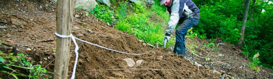 Heckenpflanzen pflanzen | Koniferen | Graben ausheben |Gardline