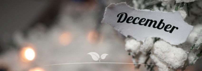 Dezember